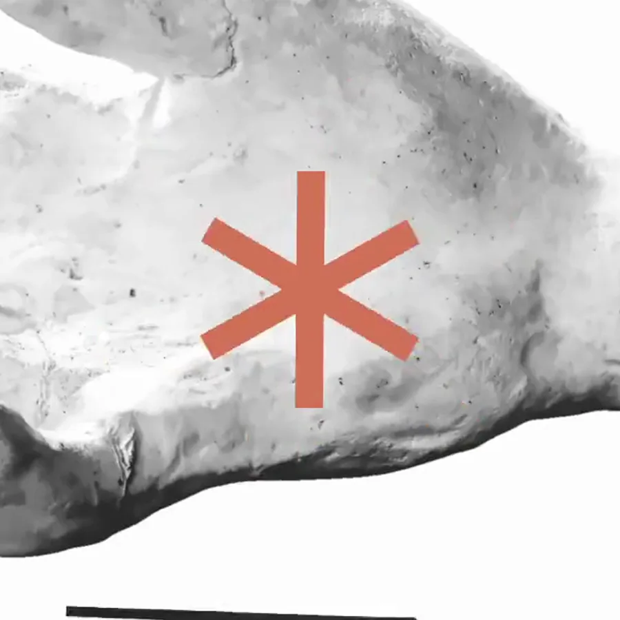 A public-domain engraving of a hand with a single coral Claude asterisk painted over it