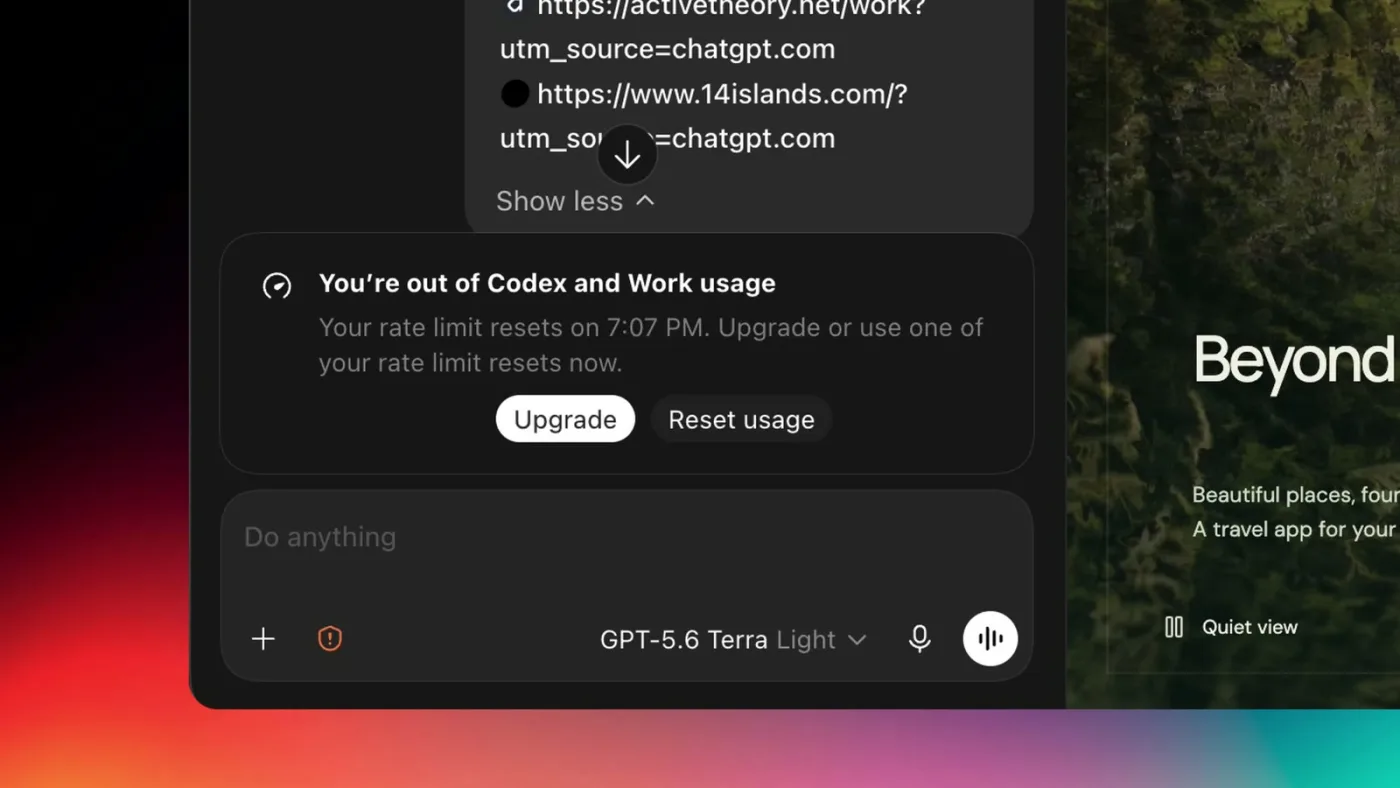 Codex showing the message You're out of Codex and Work usage with Upgrade and Reset usage buttons, and the model picker set to GPT-5.6 Terra Light